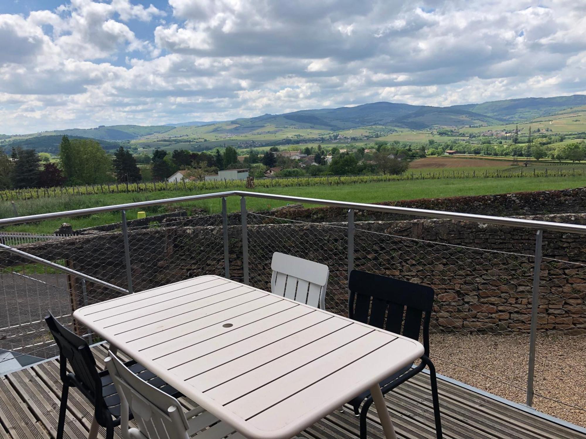 Appartement Contemporain Dans Une Authentique Demeure Viticole Charnay-lès-Mâcon Εξωτερικό φωτογραφία